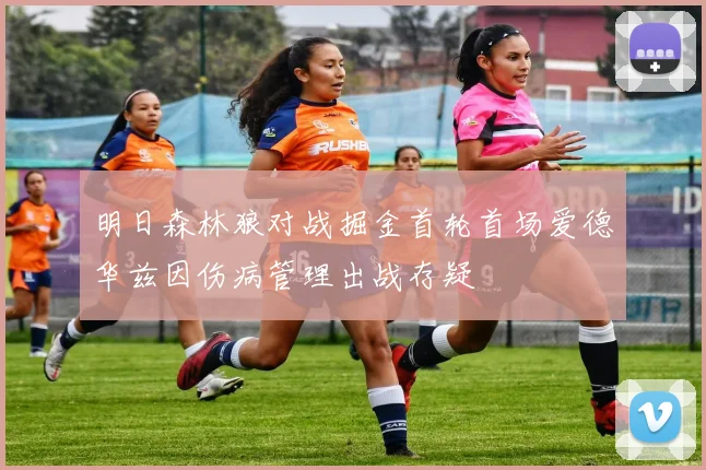 明日森林狼对战掘金首轮首场爱德华兹因伤病管理出战存疑